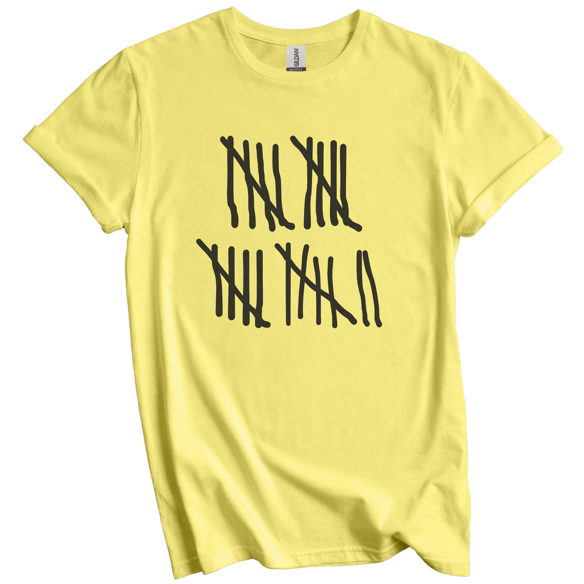 Counting To 22 Years Old Tally Marks Funny 22nd Birthday T-Shirt