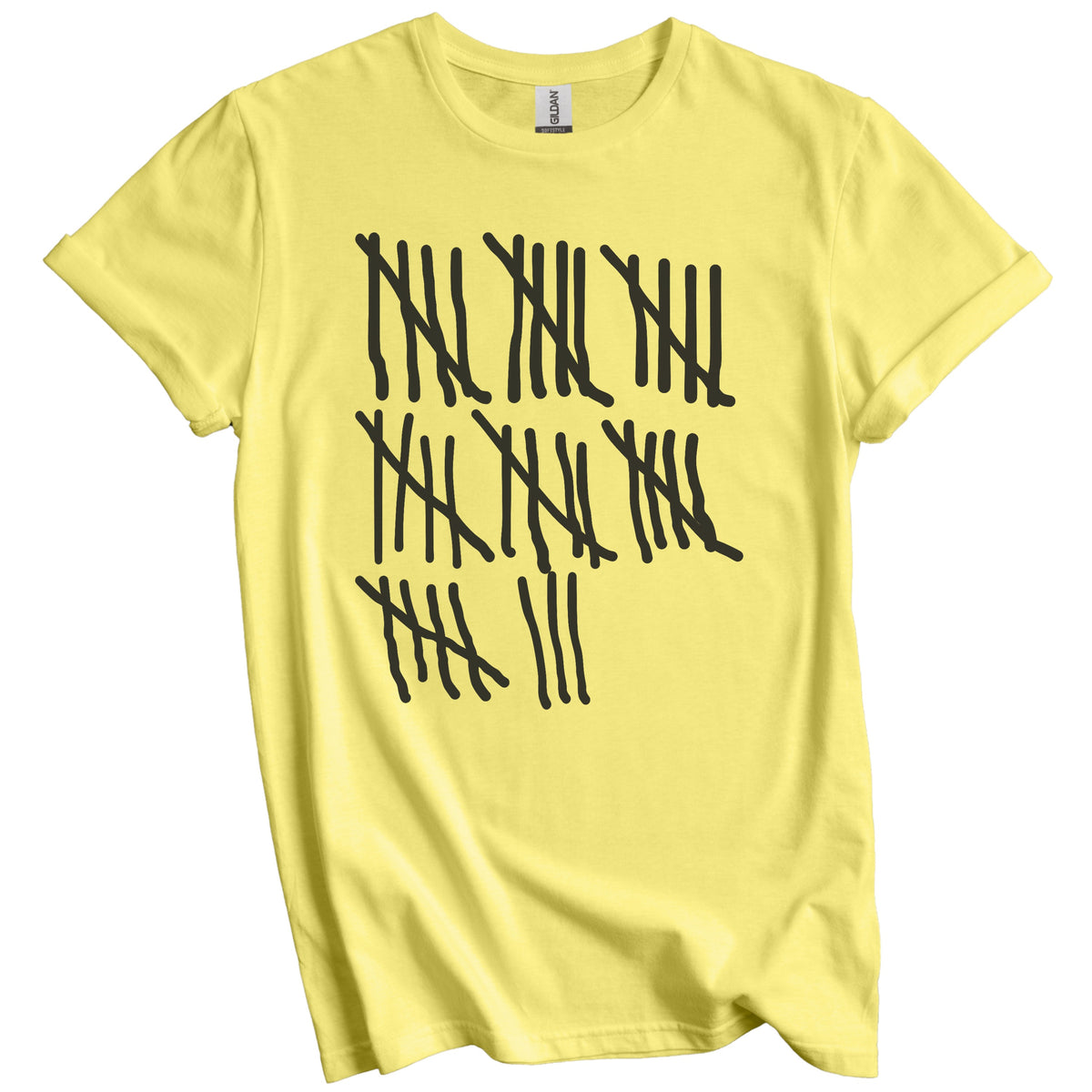 Counting To 38 Years Old Tally Marks Funny 38th Birthday T-Shirt