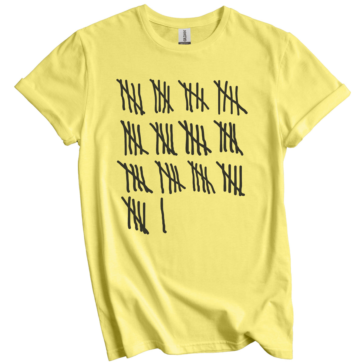 Counting To 66 Years Old Tally Marks Funny 66th Birthday T-Shirt
