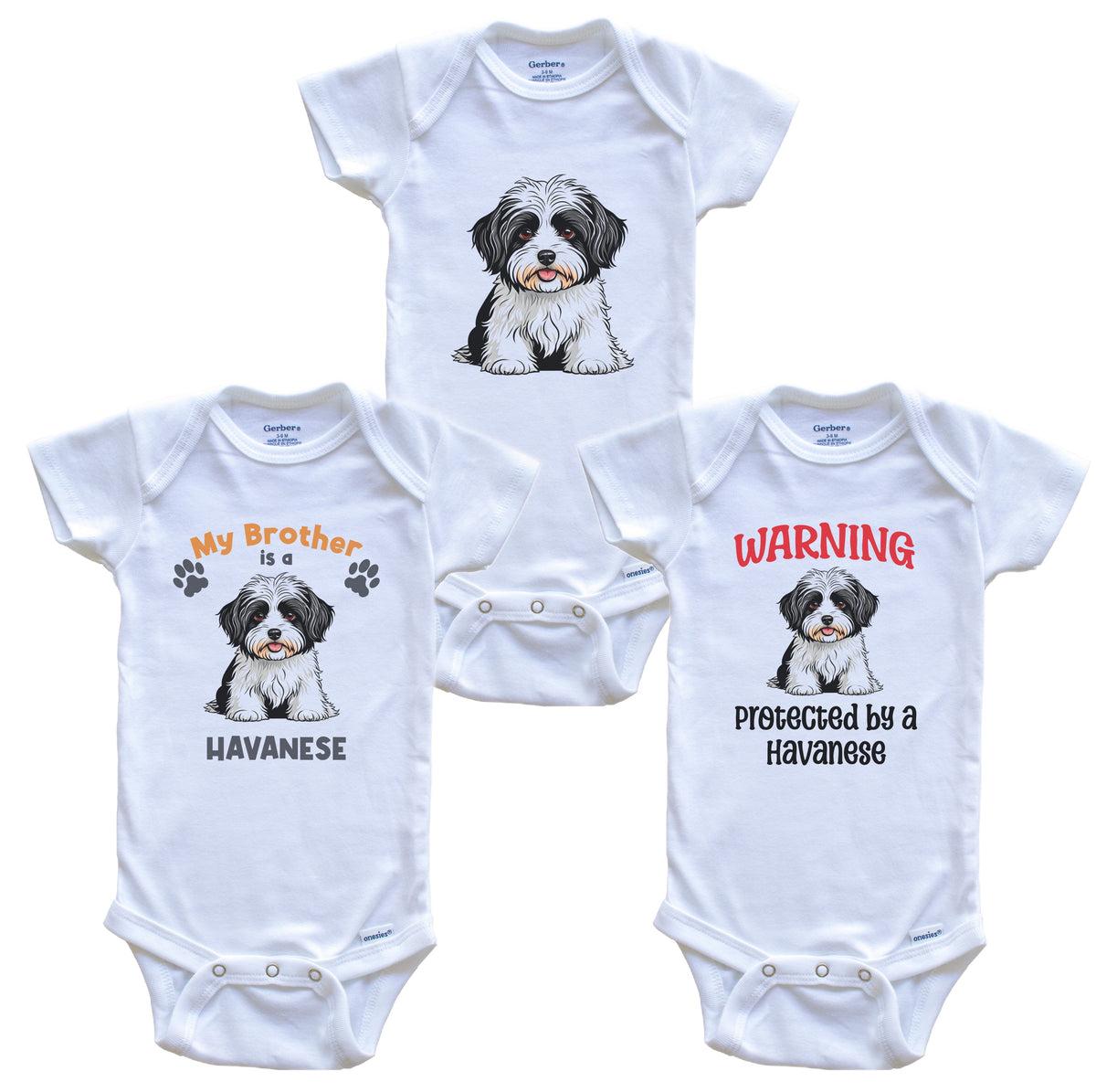 Brother is a Havanese Funny Dog Breed Baby Bodysuit Bundle (3 Piece Set)