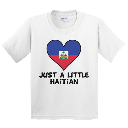 Just A Little Haitian T-Shirt - Funny Haiti Flag Kids Youth Shirt