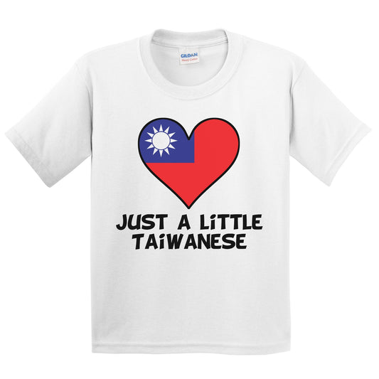 Just A Little Taiwanese T-Shirt - Funny Taiwan Flag Kids Youth Shirt