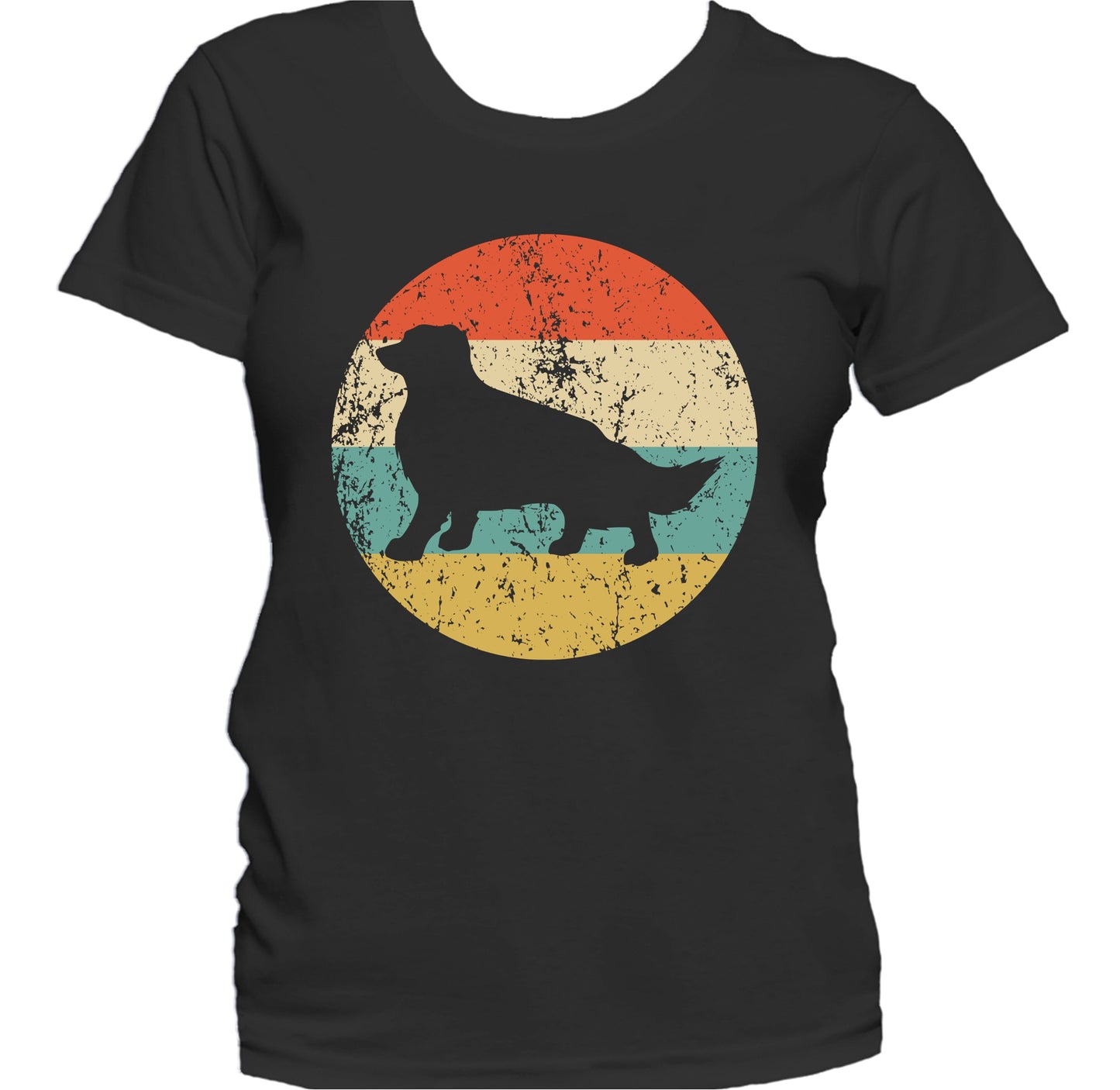 Retro Border Collie Dog Breed Icon Women's T-Shirt