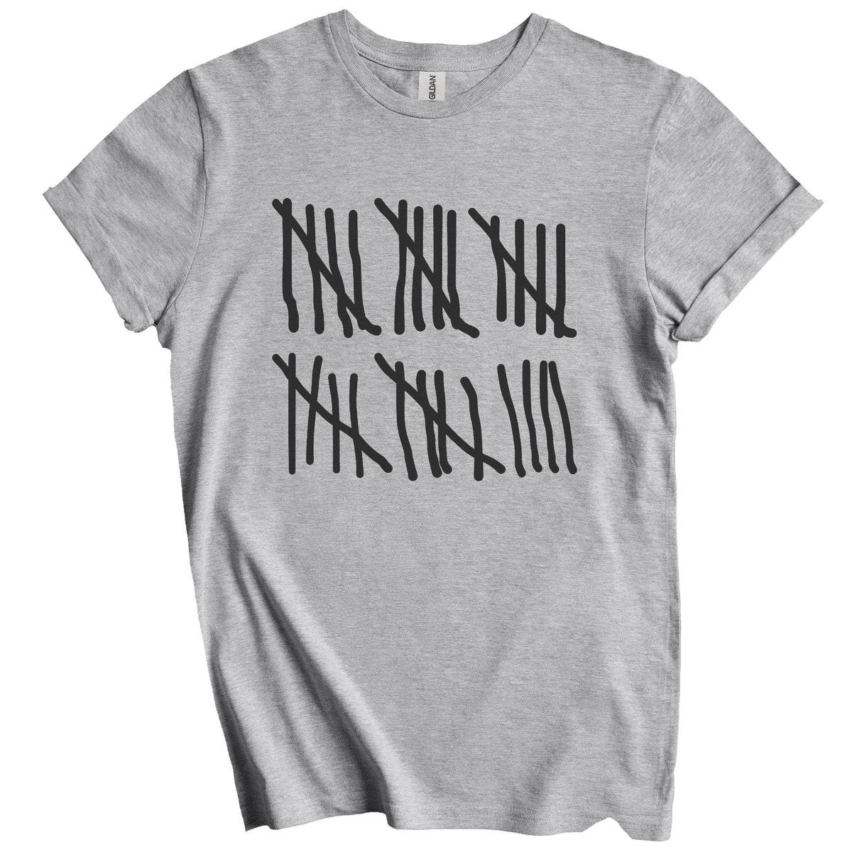 Counting To 29 Years Old Tally Marks Funny 29th Birthday T-Shirt