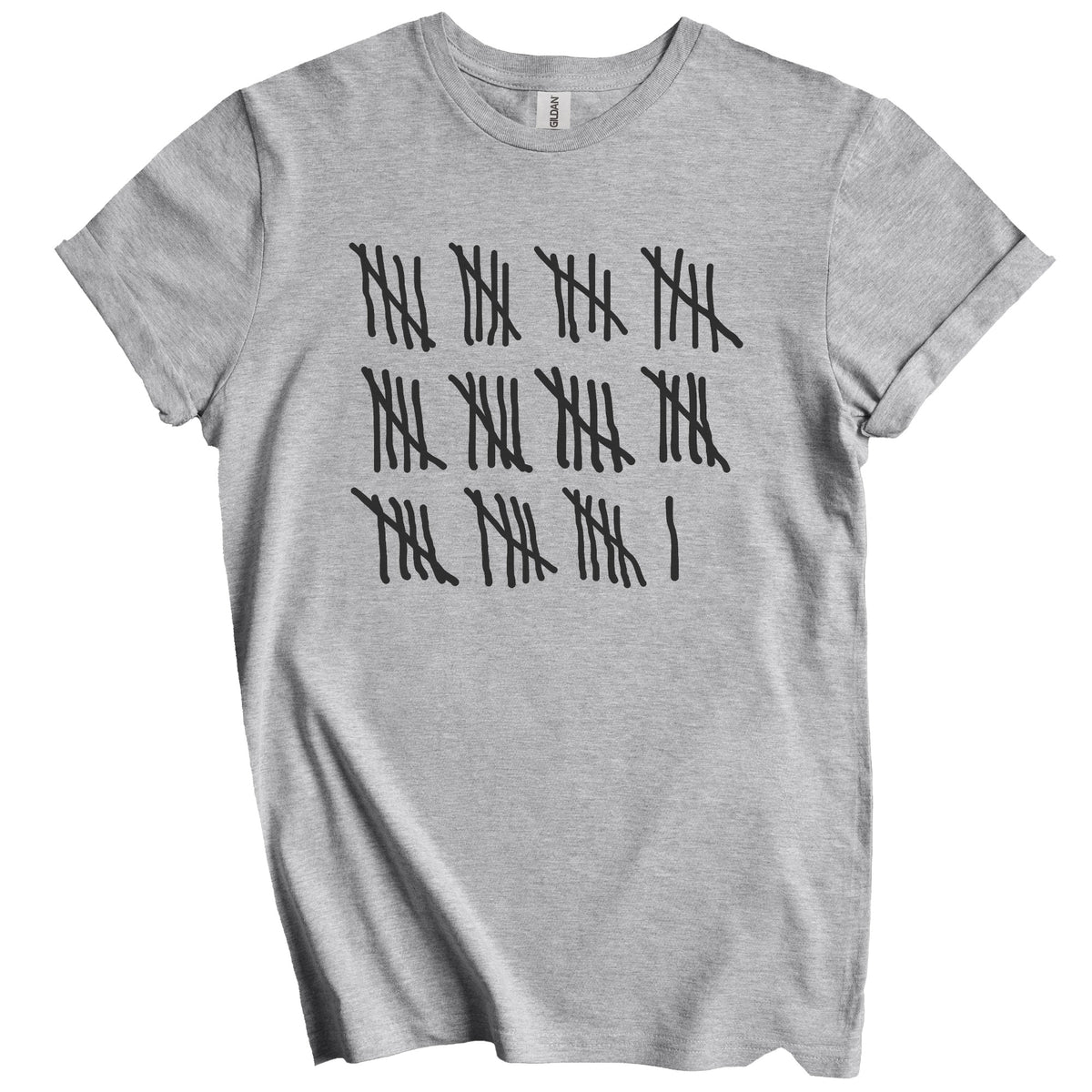 Counting To 56 Years Old Tally Marks Funny 56th Birthday T-Shirt