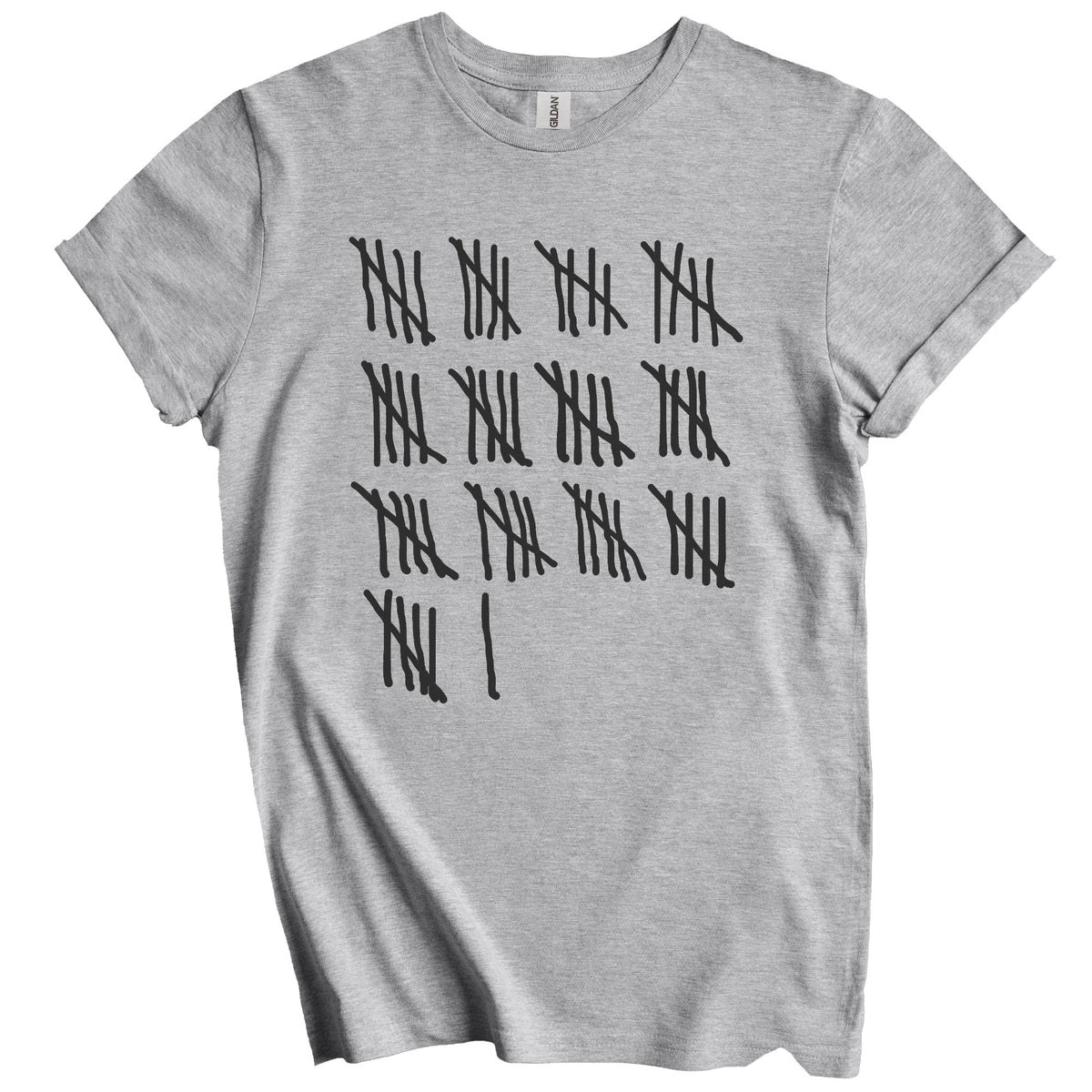 Counting To 66 Years Old Tally Marks Funny 66th Birthday T-Shirt