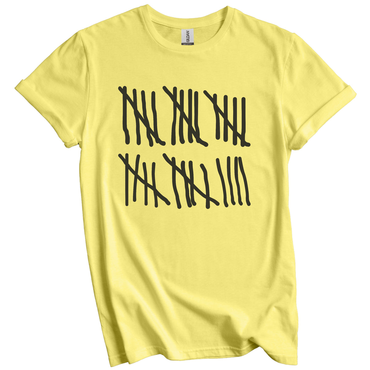 Counting To 29 Years Old Tally Marks Funny 29th Birthday T-Shirt