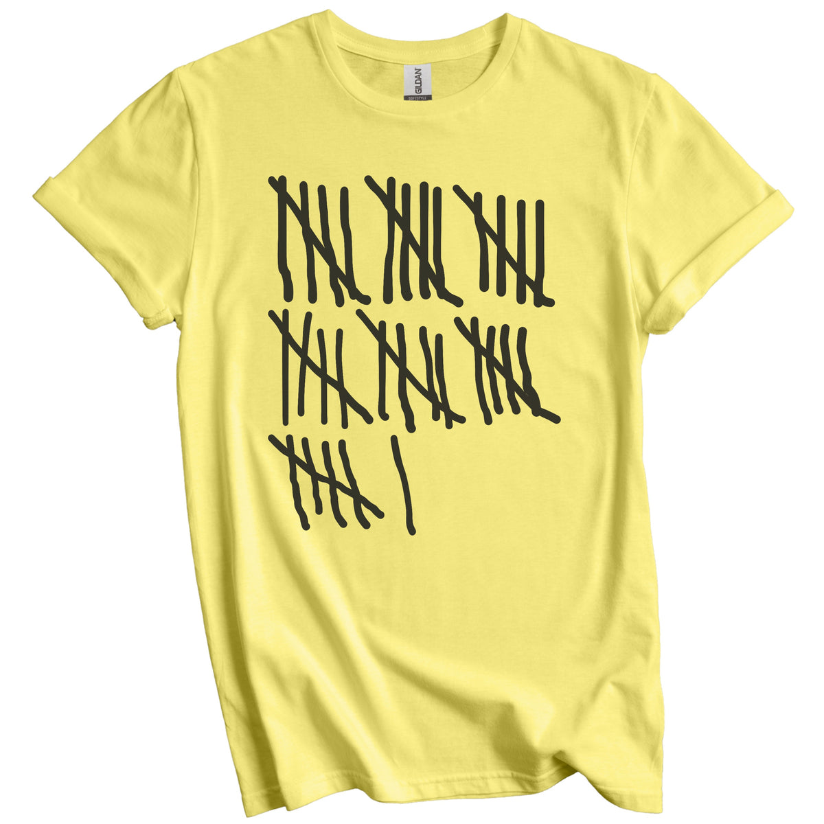 Counting To 36 Years Old Tally Marks Funny 36th Birthday T-Shirt