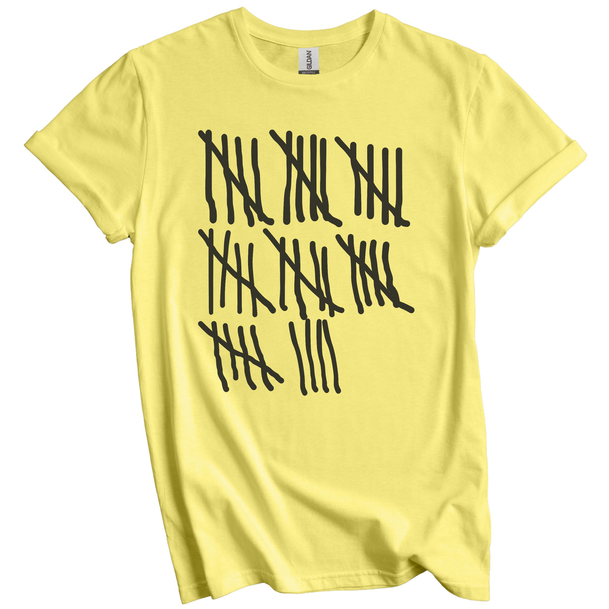 Counting To 39 Years Old Tally Marks Funny 39th Birthday T-Shirt