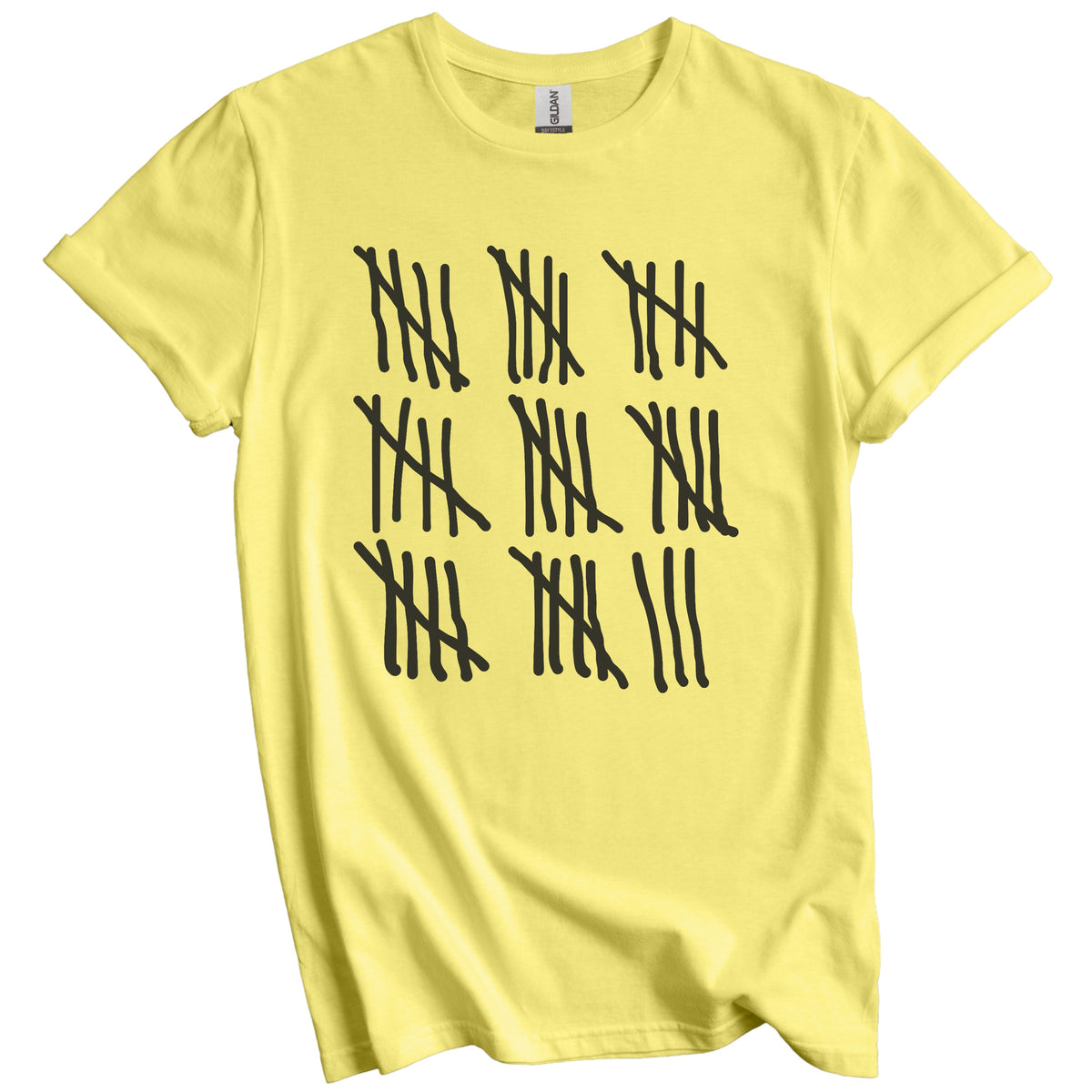 Counting To 43 Years Old Tally Marks Funny 43rd Birthday T-Shirt