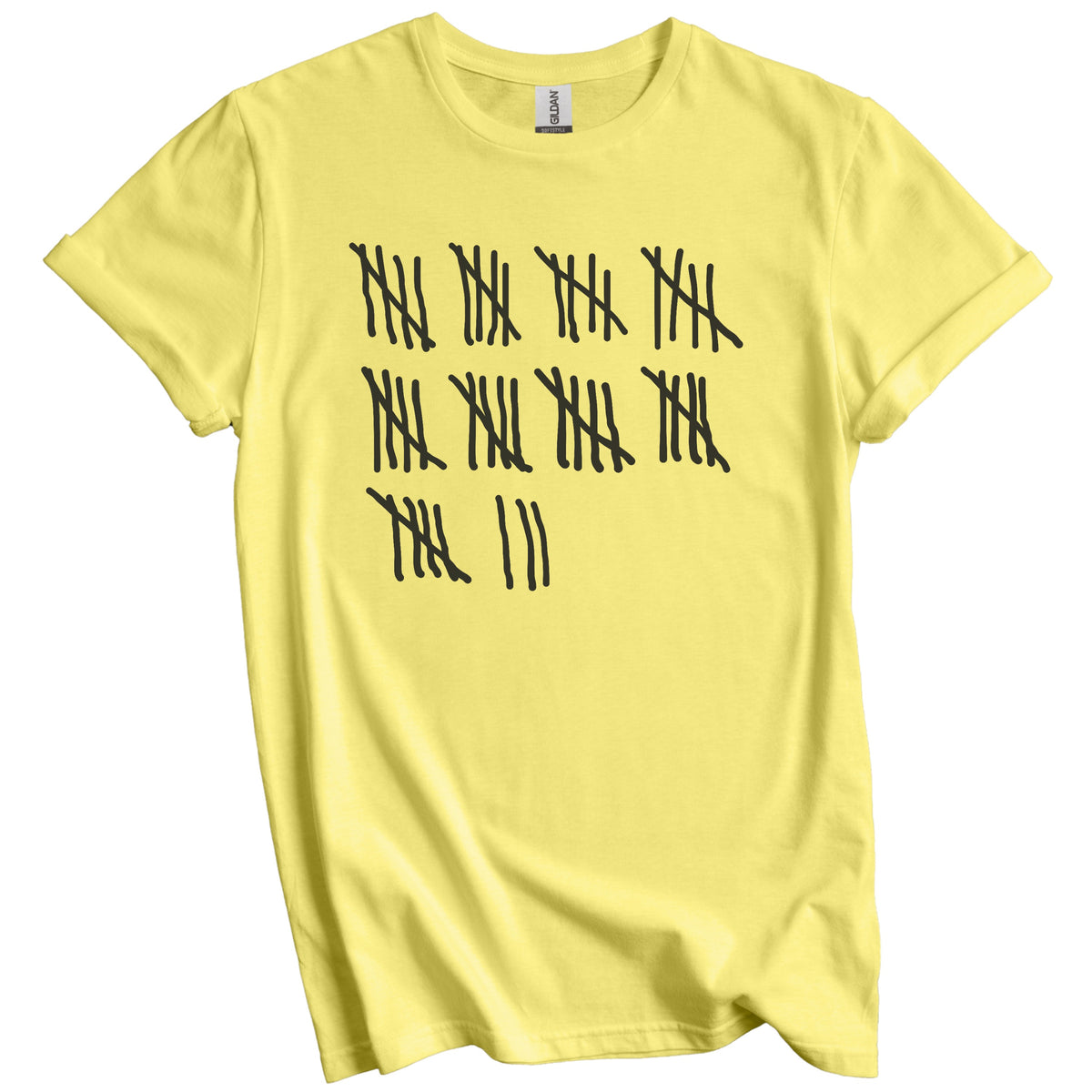 Counting To 48 Years Old Tally Marks Funny 48th Birthday T-Shirt