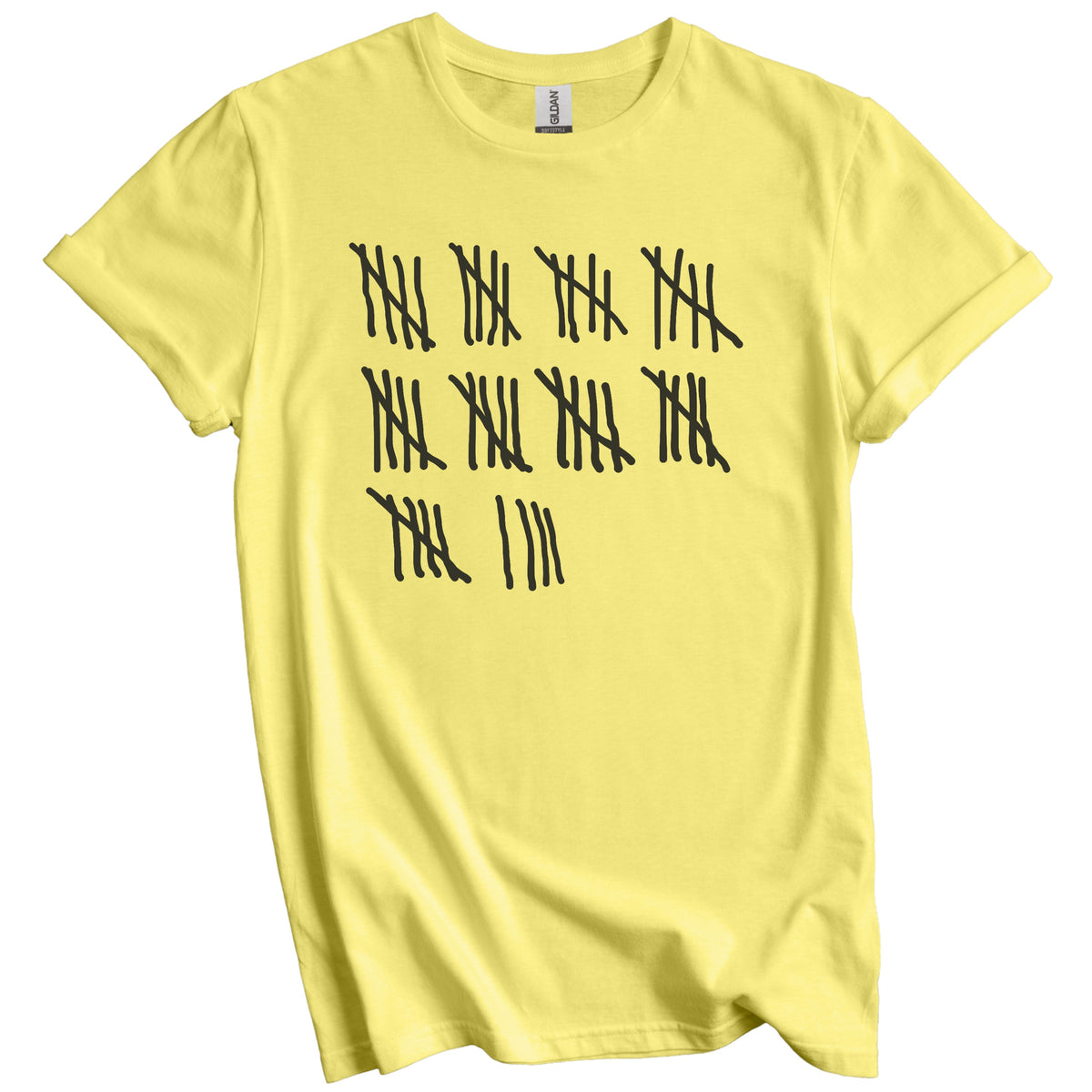 Counting To 49 Years Old Tally Marks Funny 49th Birthday T-Shirt