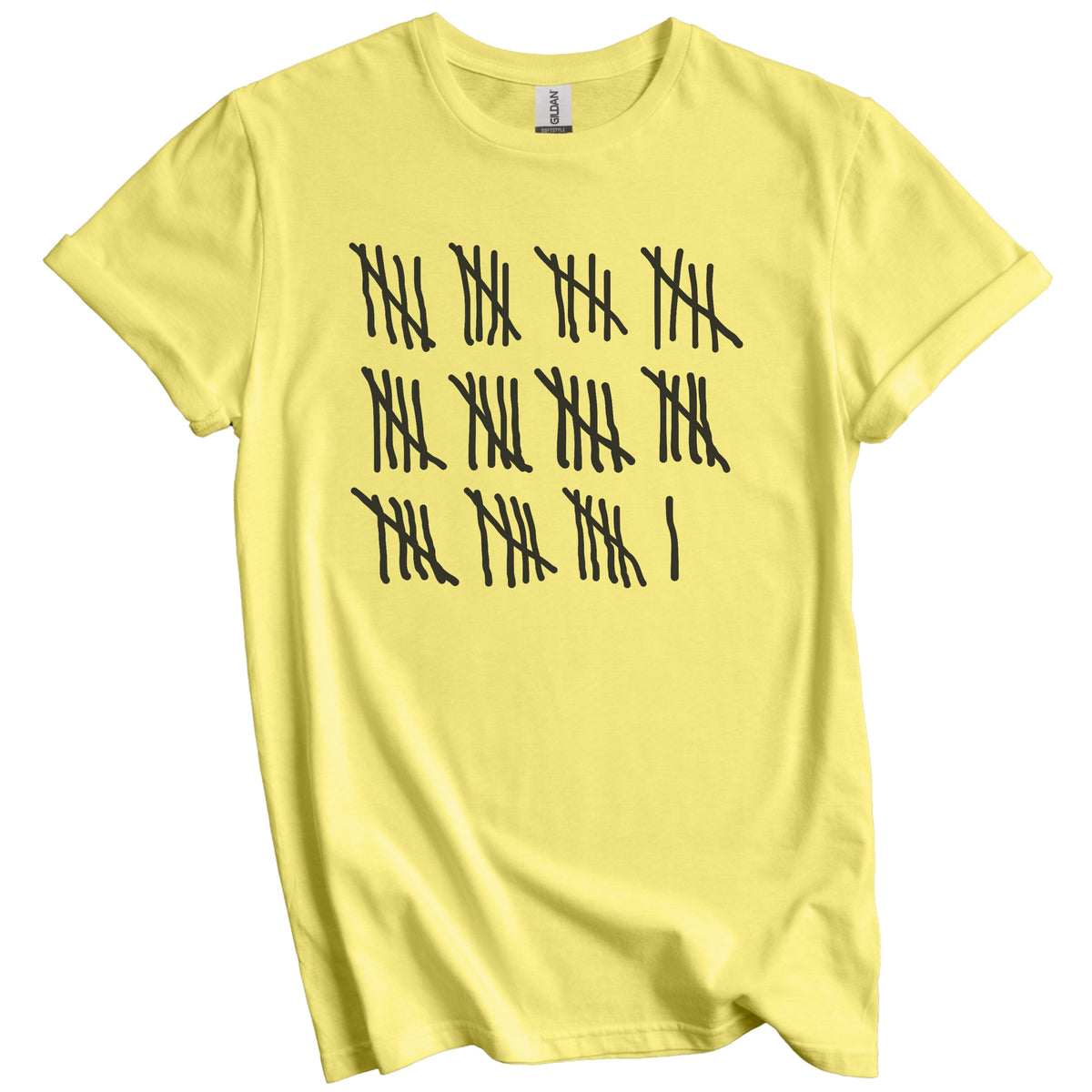 Counting To 56 Years Old Tally Marks Funny 56th Birthday T-Shirt