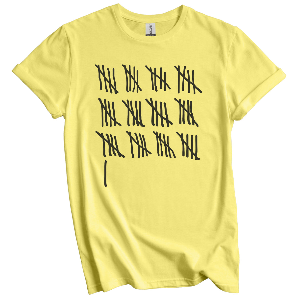 Counting To 61 Years Old Tally Marks Funny 61st Birthday T-Shirt