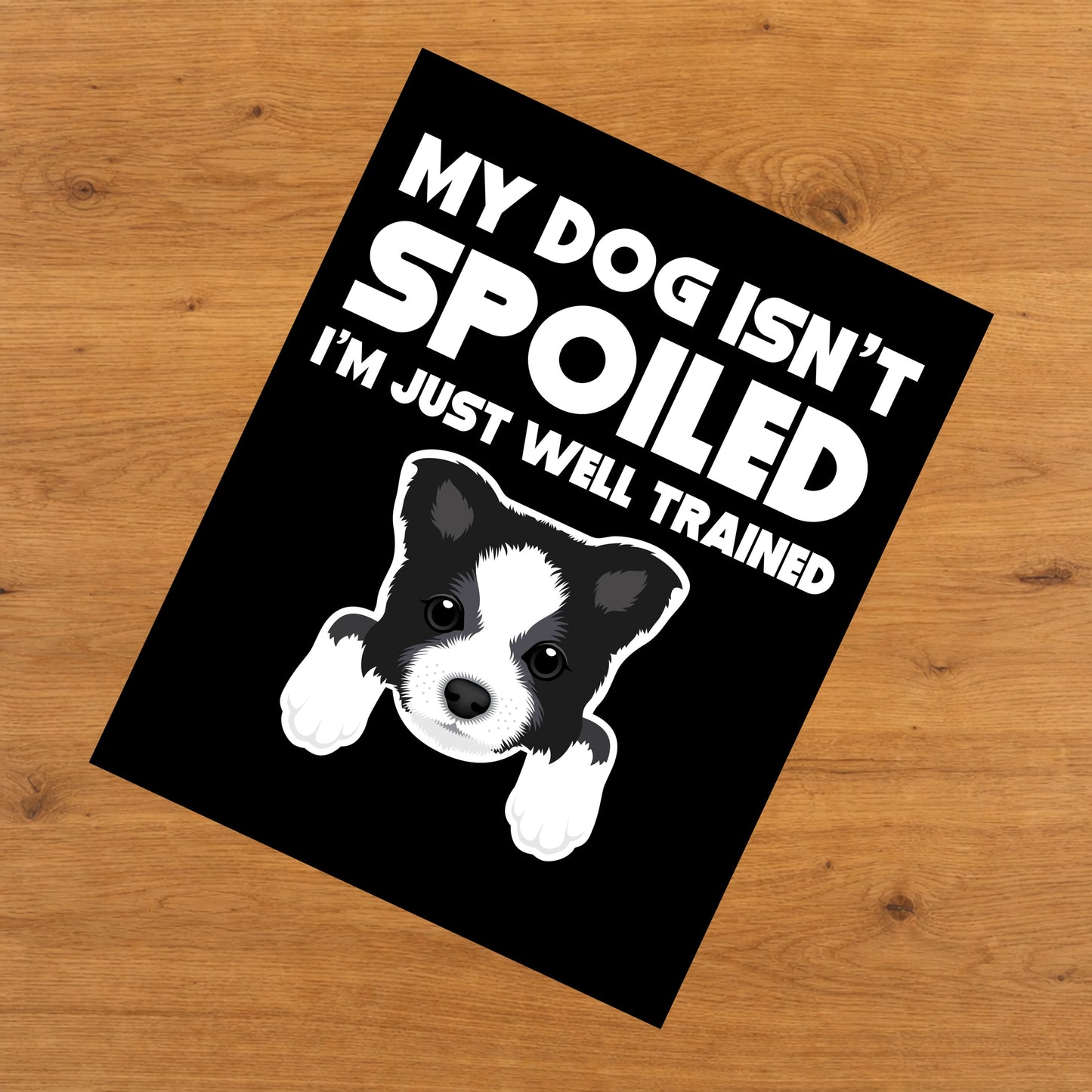 My Dog Isn't Spoiled I'm Just Well Trained Funny Border Collie 8"x10" Wall Art Print