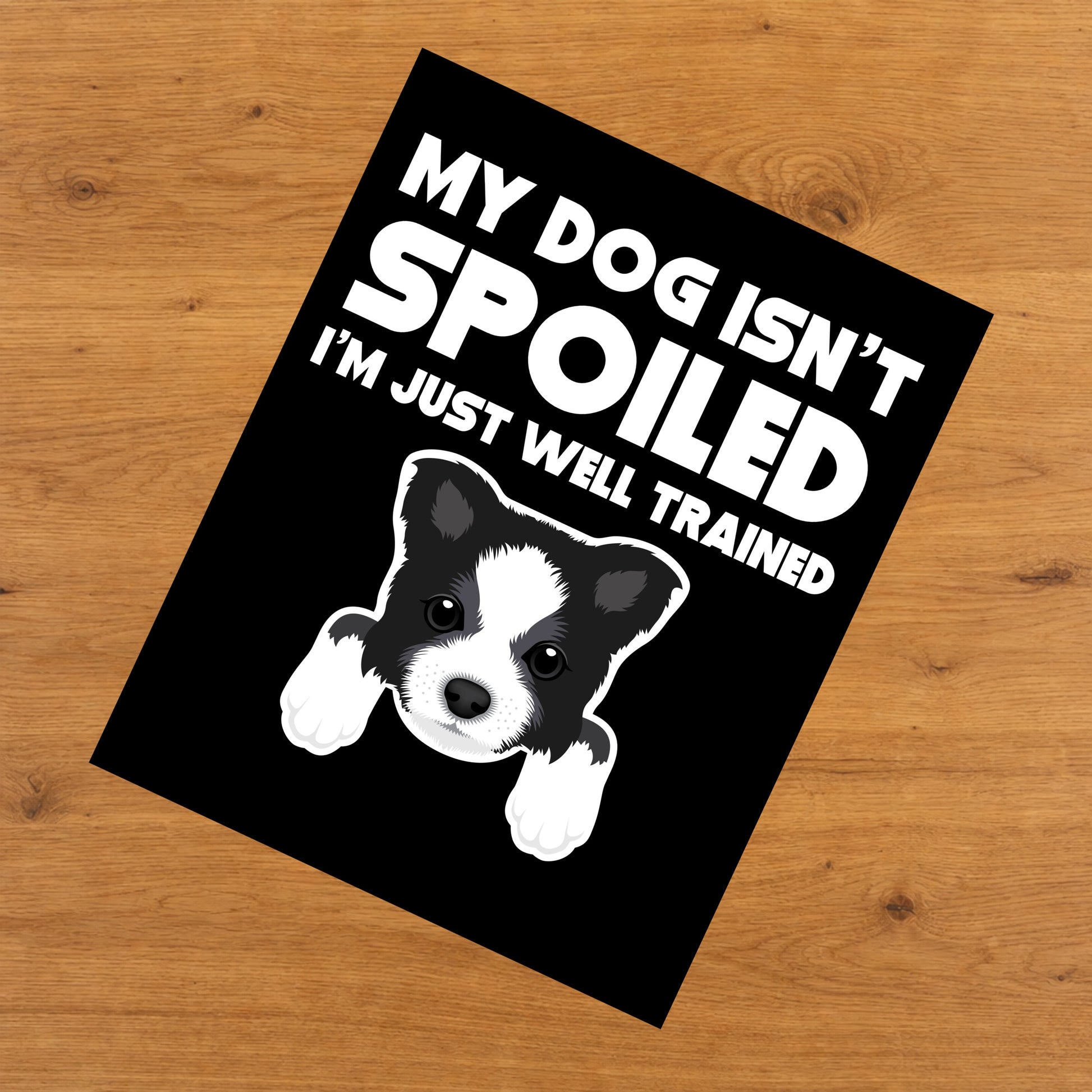 My Dog Isn't Spoiled I'm Just Well Trained Funny Border Collie 8"x10" Wall Art Print