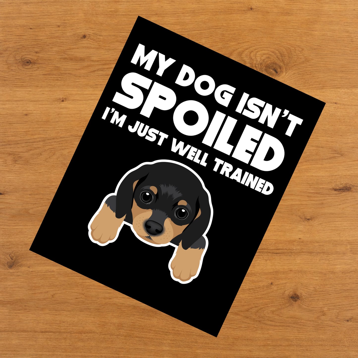 My Dog Isn't Spoiled I'm Just Well Trained Funny Dachshund 8"x10" Wall Art Print