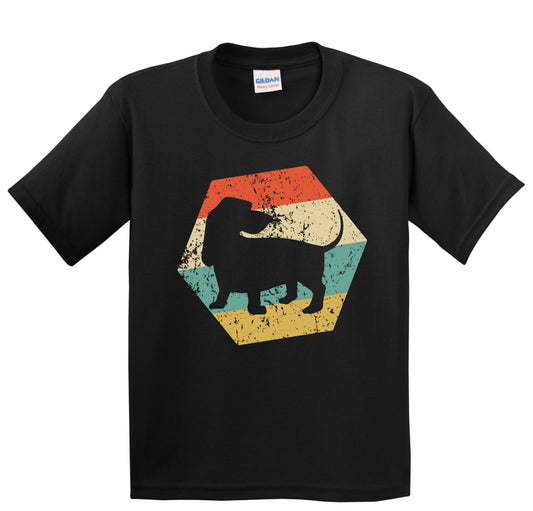 Basset Hound Dog Breed Retro Distressed Hexagon Youth T-Shirt