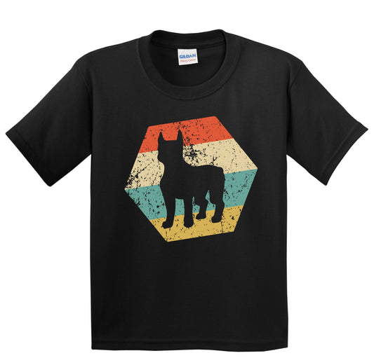 Boston Terrier Dog Breed Retro Distressed Hexagon Youth T-Shirt