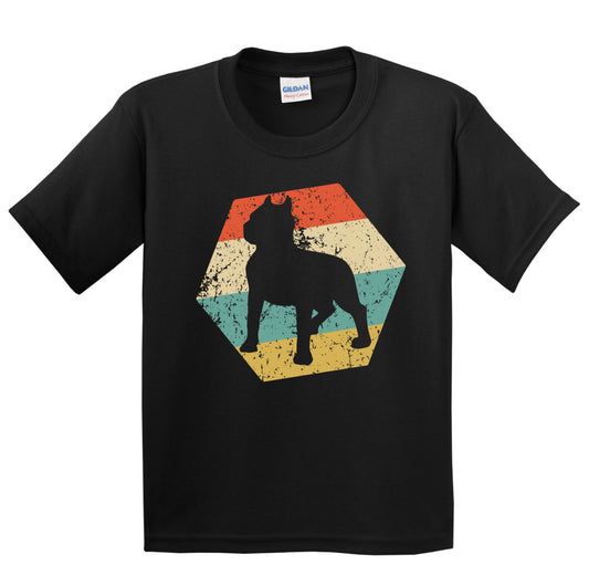 American Pit Bull Terrier Dog Breed Retro Distressed Hexagon Youth T-Shirt