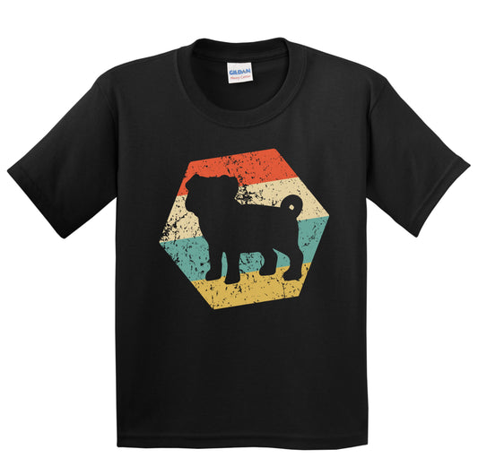 Pug Dog Breed Retro Distressed Hexagon Youth T-Shirt