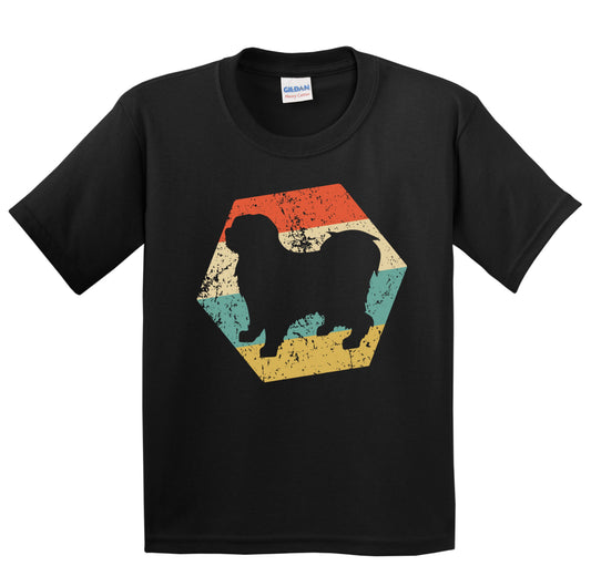 Tibetan Terrier Dog Breed Retro Distressed Hexagon Youth T-Shirt