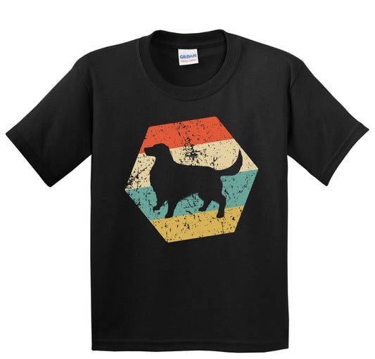 Irish Setter Dog Breed Retro Distressed Hexagon Youth T-Shirt