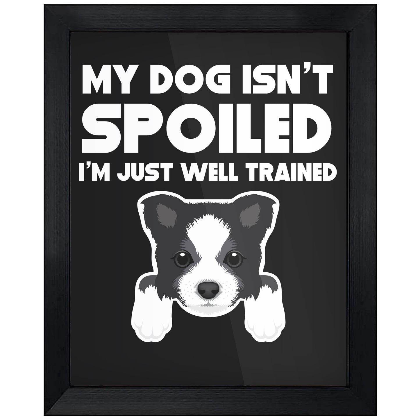 My Dog Isn't Spoiled I'm Just Well Trained Funny Border Collie 8"x10" Wall Art Print