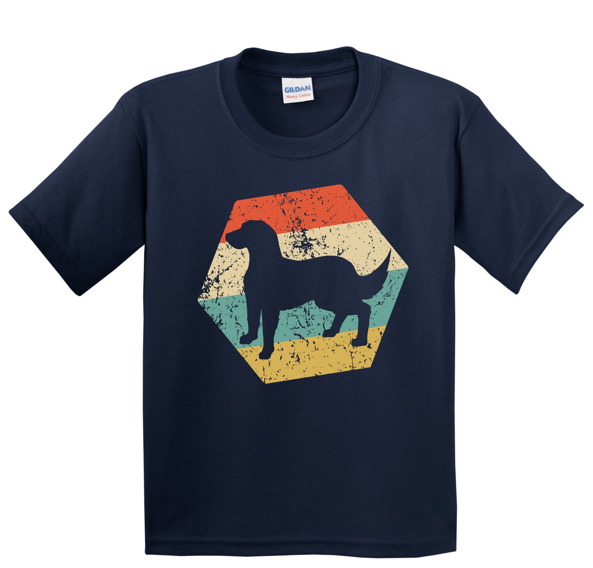 Flattie Dog Breed Retro Distressed Hexagon Youth T-Shirt