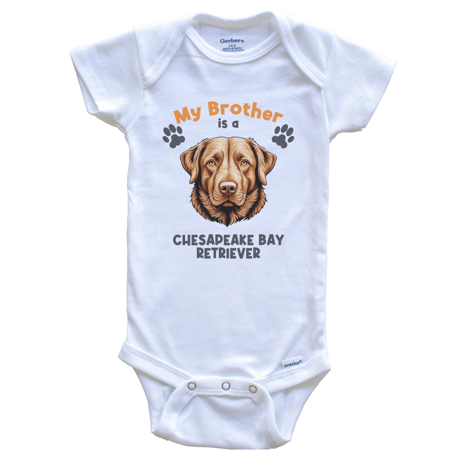 My Brother Is A Chesapeake Bay Retriever Cute Dog Breed Baby Bodysuit