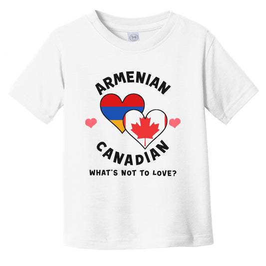 Armenian Canadian What's Not To Love Heart Flags Infant Toddler T-Shirt