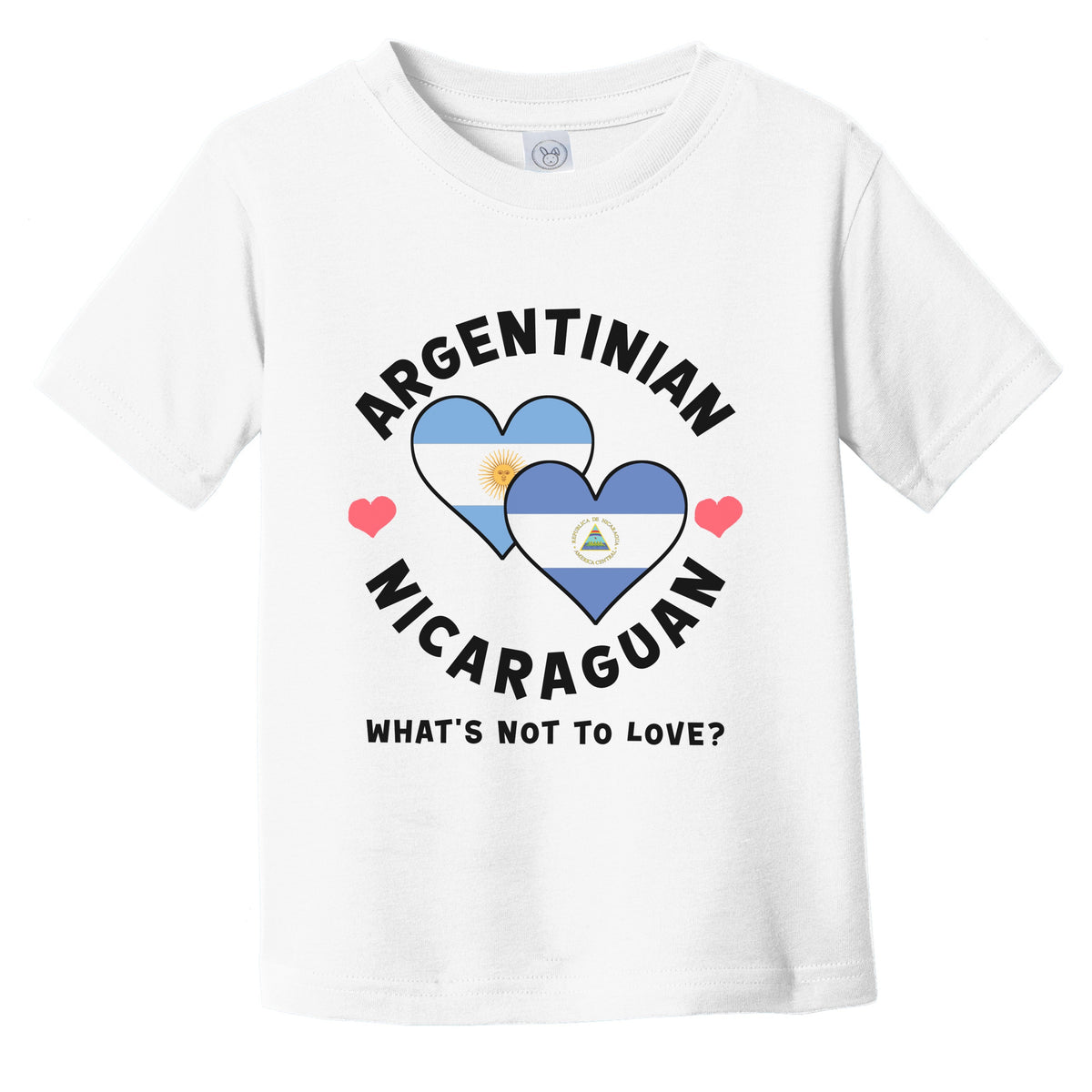 Argentinian Nicaraguan What's Not To Love Heart Flags Infant Toddler T-Shirt