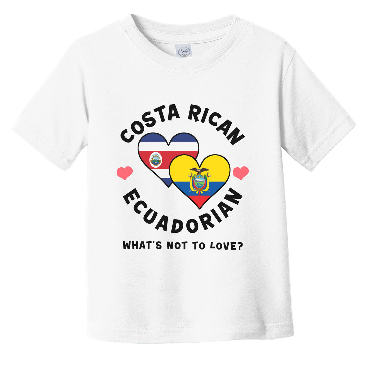 Costa Rican Ecuadorian What's Not To Love Heart Flags Infant Toddler T-Shirt
