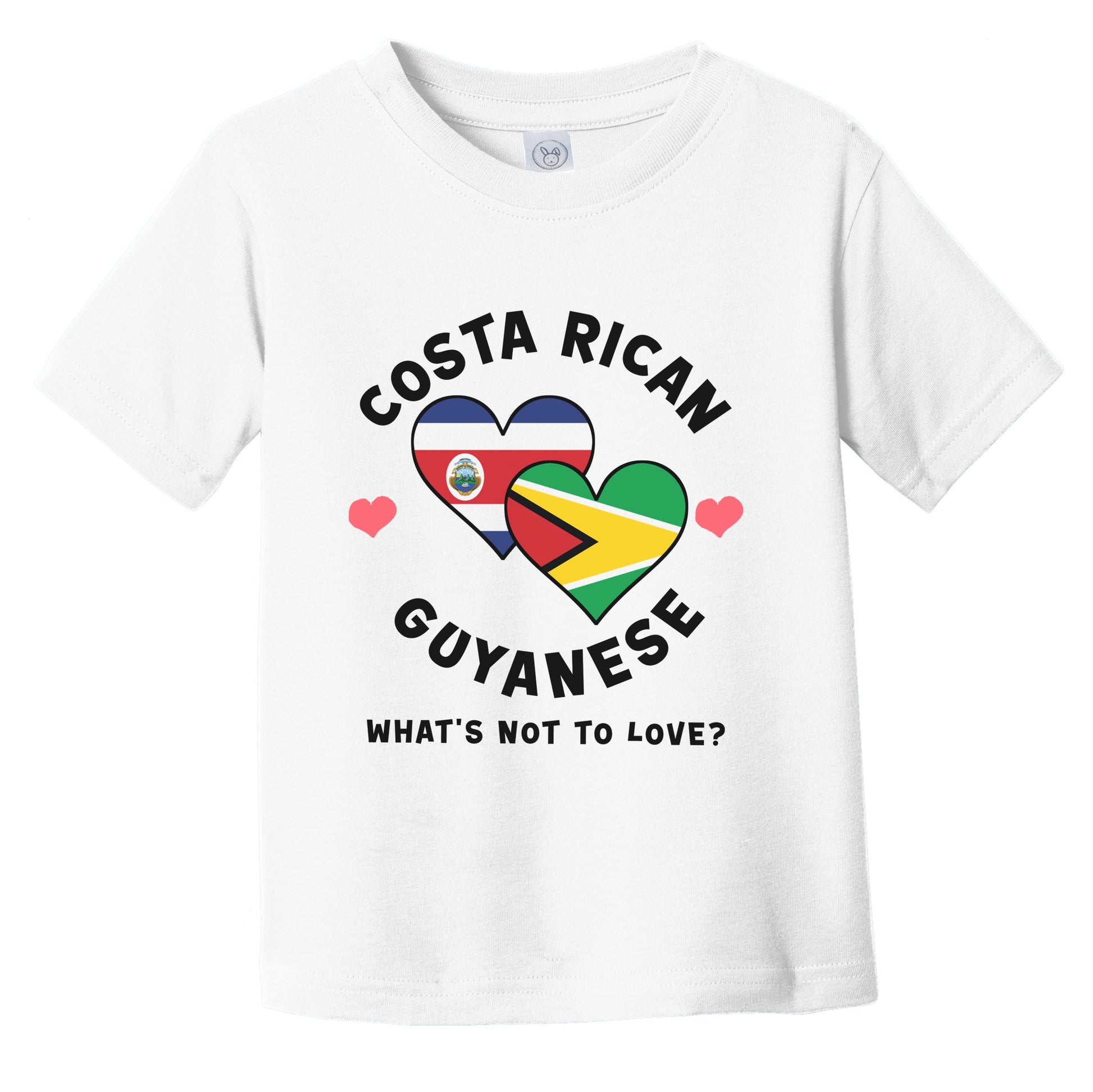 Costa Rican Guyanese What's Not To Love Heart Flags Infant Toddler T-Shirt