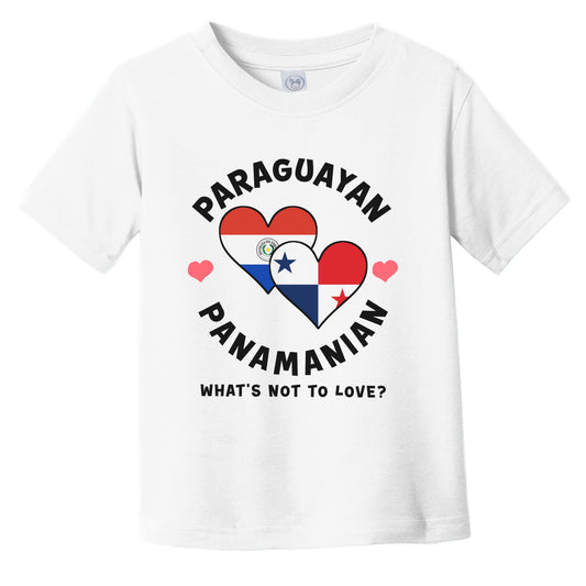 Paraguayan Panamanian What's Not To Love Heart Flags Infant Toddler T-Shirt
