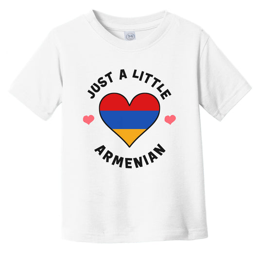 Armenian Flag Heart Just A Little Armenian Armenia Infant Toddler T-Shirt