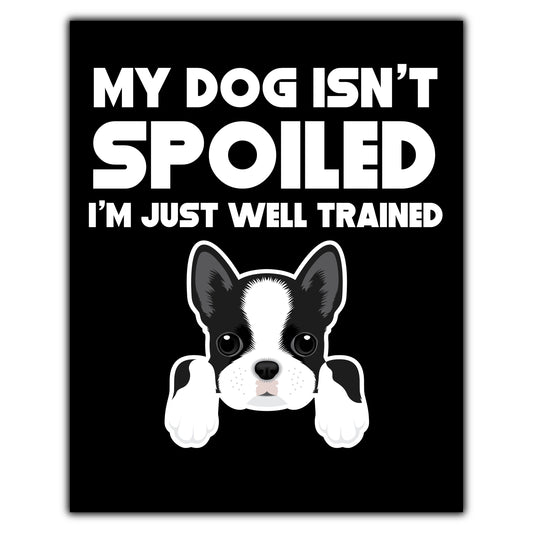 My Dog Isn't Spoiled I'm Just Well Trained Funny Boston Terrier 8"x10" Wall Art Print