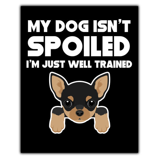 My Dog Isn't Spoiled I'm Just Well Trained Funny Chihuahua 8"x10" Wall Art Print