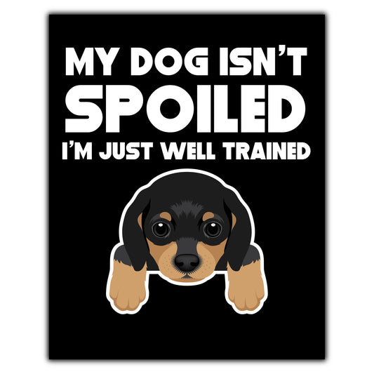 My Dog Isn't Spoiled I'm Just Well Trained Funny Dachshund 8"x10" Wall Art Print