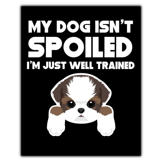 My Dog Isn't Spoiled I'm Just Well Trained Funny Shih Tzu 8"x10" Wall Art Print