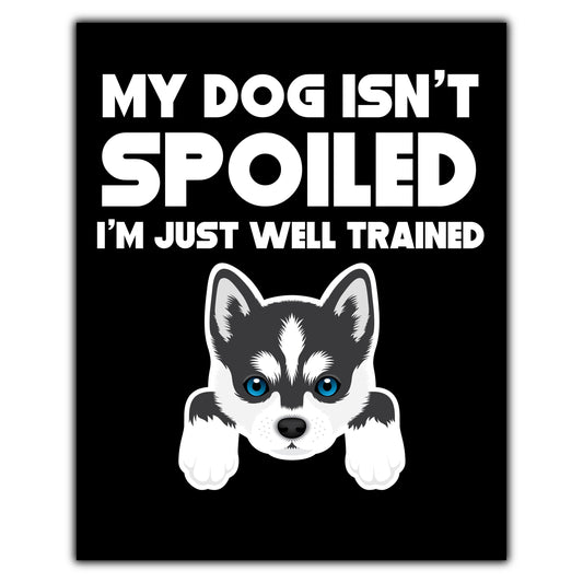 My Dog Isn't Spoiled I'm Just Well Trained Funny Siberian Husky 8"x10" Wall Art Print