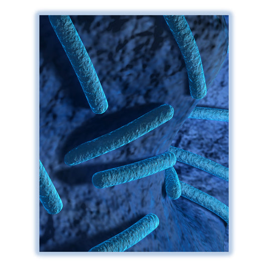 Bacteria Under Microscope Epidemiologist Microbiologist Doctor 8"x10" Wall Art Print