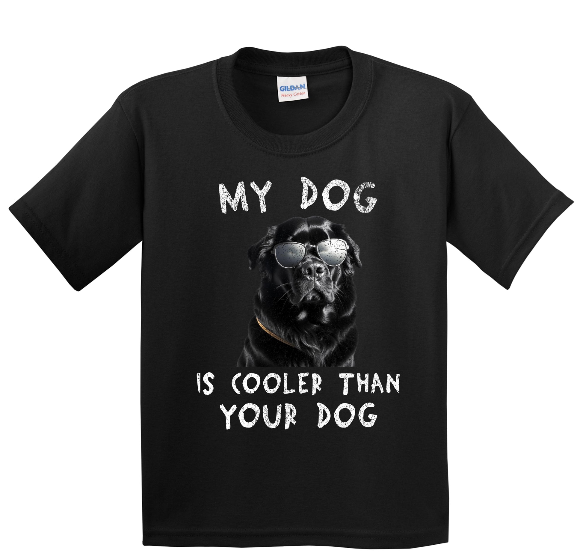 Newfoundland My Dog Is Cooler Than Your Dog Funny Dog Owner Youth T-Shirt