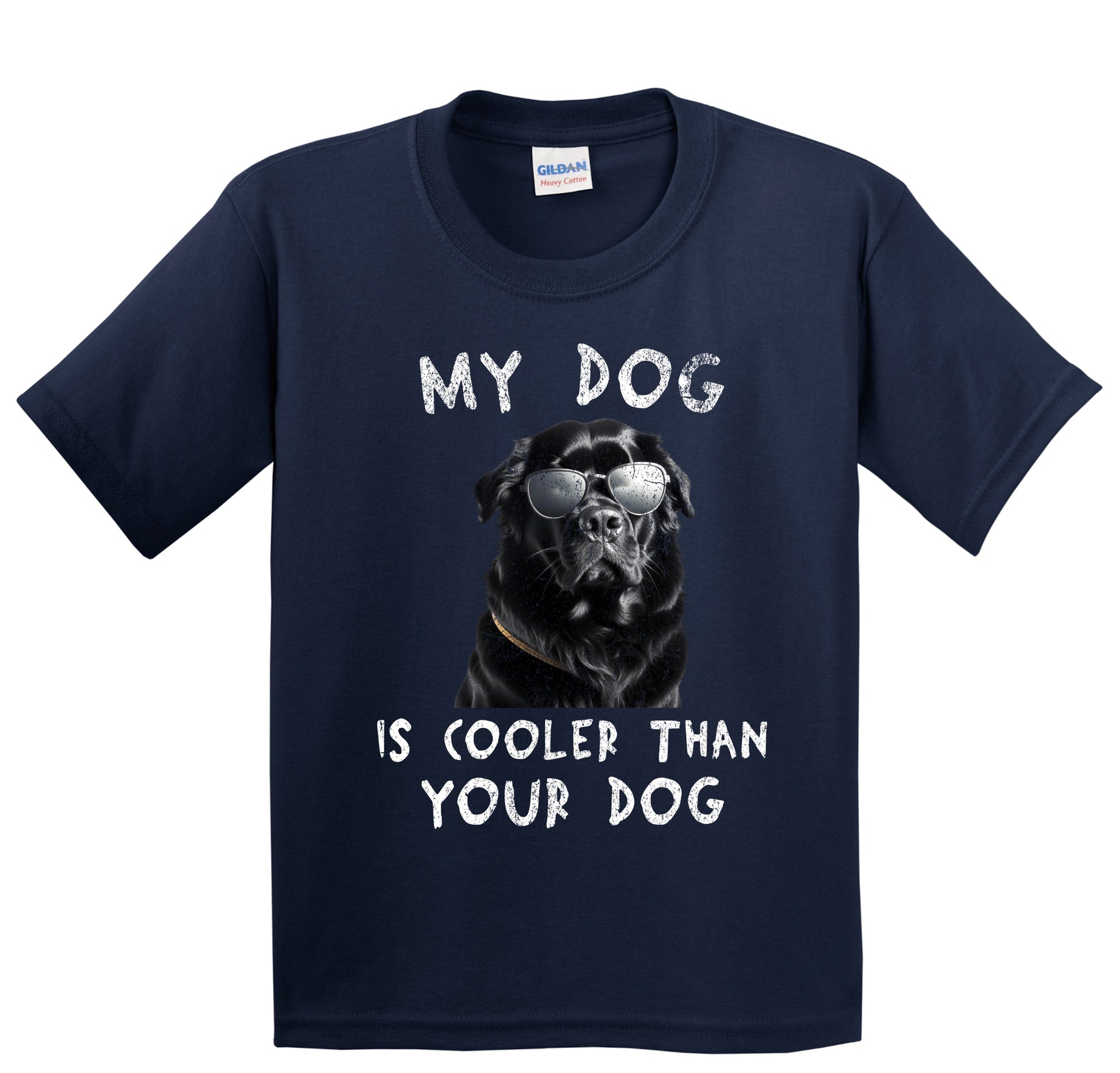 Newfoundland My Dog Is Cooler Than Your Dog Funny Dog Owner Youth T-Shirt