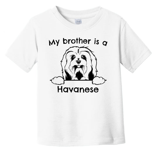 My Brother Is A Havanese Infant Toddler T-Shirt