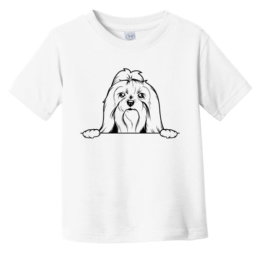 Maltese Dog Breed Drawing Cute Infant Toddler T-Shirt
