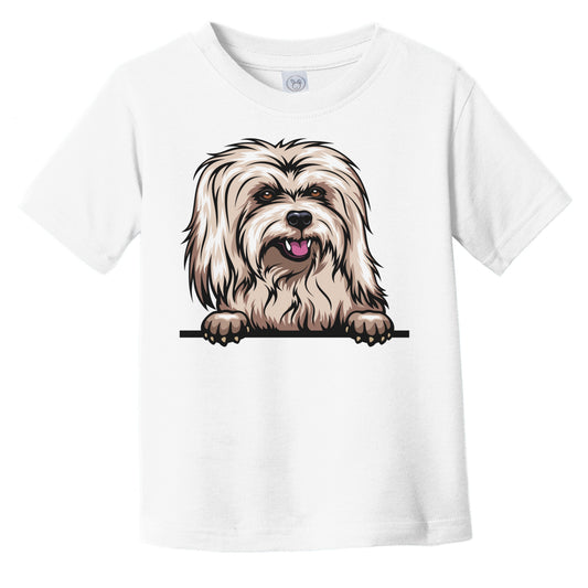 Coton de Tulear Dog Breed Popping Up Cute Infant Toddler T-Shirt