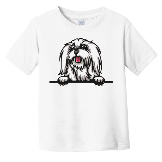 Maltese Dog Breed Popping Up Cute Infant Toddler T-Shirt v3