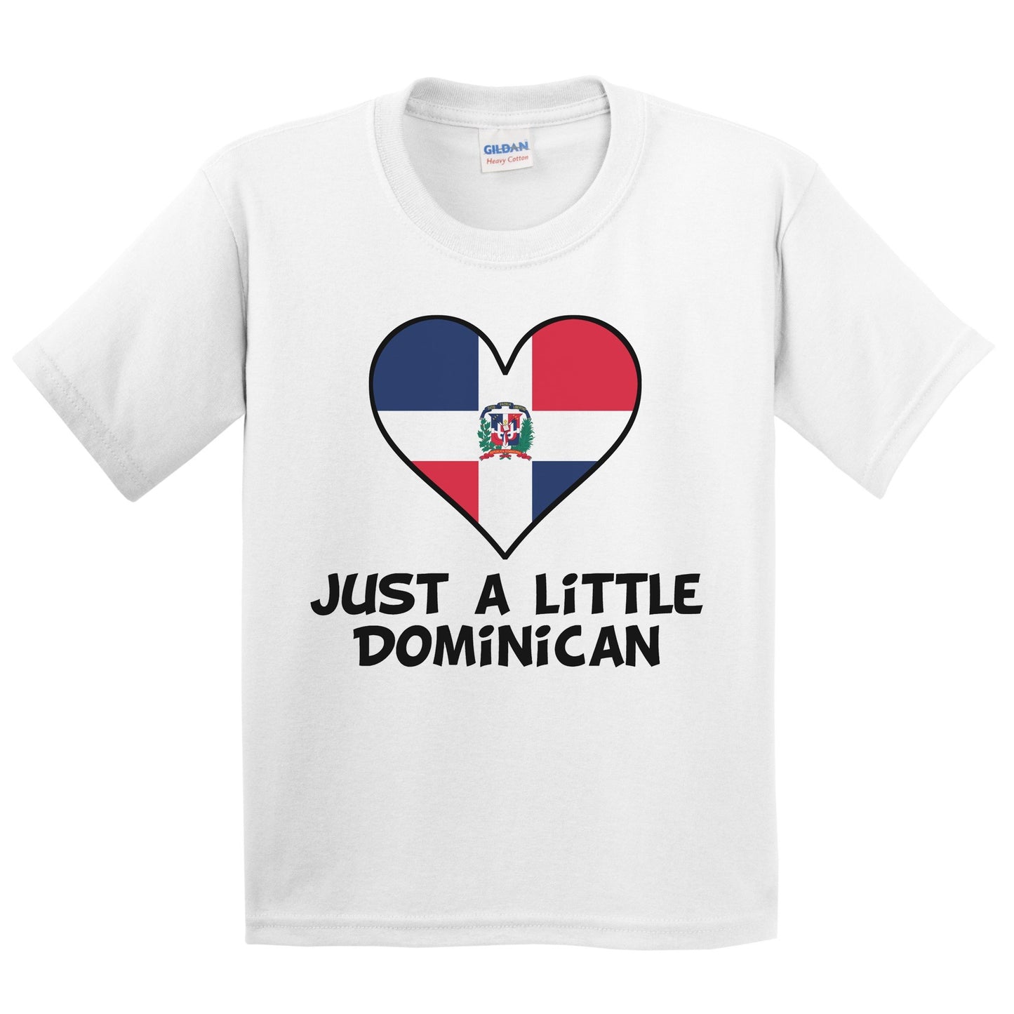 Just A Little Dominican T-Shirt - Funny Dominican Republic Flag Kids Youth Shirt