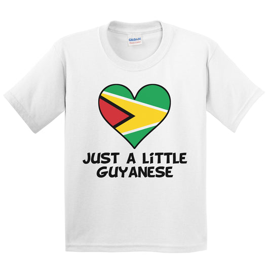 Just A Little Guyanese T-Shirt - Funny Guyana Flag Kids Youth Shirt